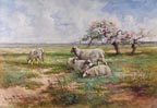 Hugo Anton Fisher Sheep in Spring Meadow Thumbnail