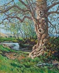 James Russell Ford Sycamore Tree Thumbnail