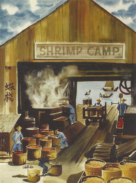 Jake Lee Shrimp Camp at China Camp