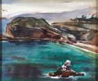 Maurice Logan Seagull Cove Thumbnail