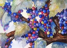 Grapes by Diane Luiz