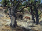 Joshua Meador Old Pasture Thumbnail
