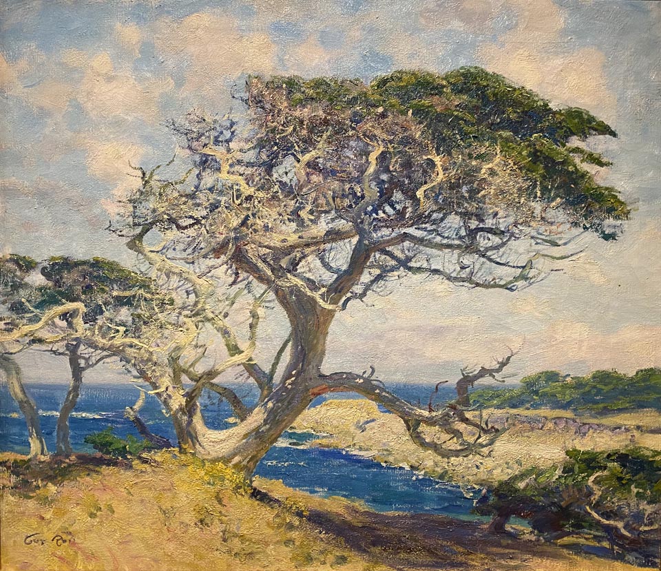 Guy Rose 1867-1925, Monterey Cypress, 1918, Crocker Art Museum, Wendy Willrich Collection