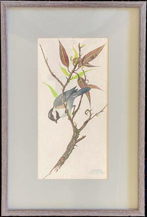 hestnut-backed Chidkadee and Ladybug  Watercolor, 13 x 23 1/4