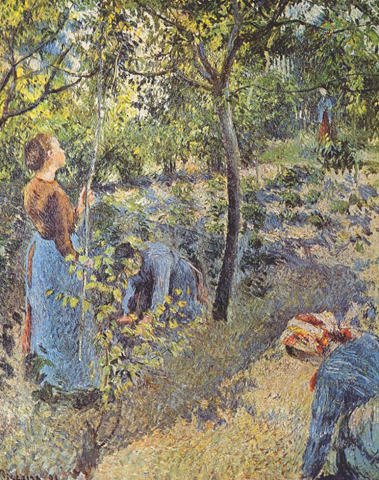 The Apple Harvest 1896