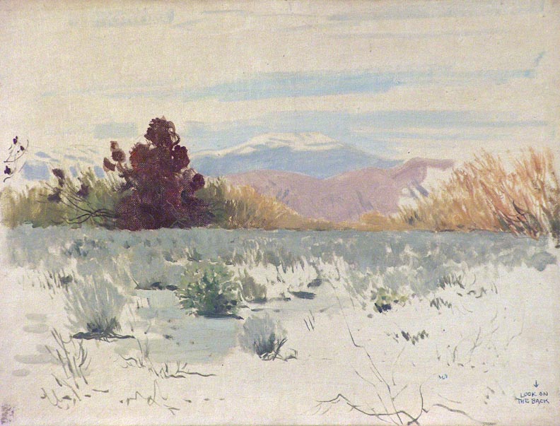 James Swinnerton Desert Mistletoe Oil Sketch