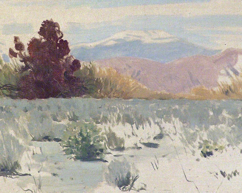 James Swinnerton Desert Mistletoe Oil Sketch Closeup