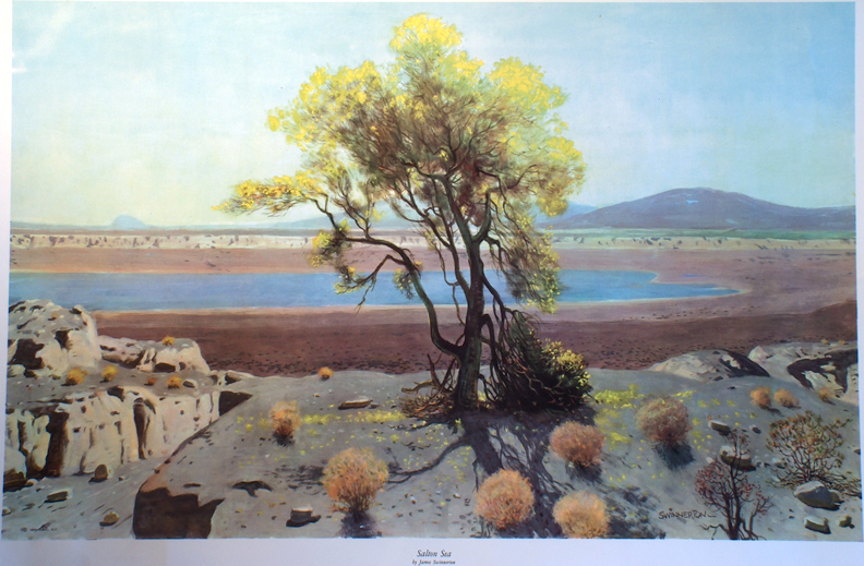 Printbin James Guilford Swinnerton Salton Sea