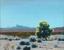 James Swinnerton Yuma Desert Midsized Thumbnail
