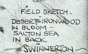 Jimmy Swinnerton Desert Ironwood in Bloom, Salton Sea in Back