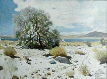 James Swinnerton Desert Ironwood in Bloom Salton Sea in Background Vintage Print on canvas, 12 x 16