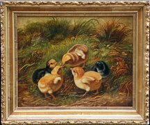 (after) Arthur Fitzwilliam Tait, Chicks 1864