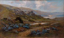 Manuel Valencia Lupines on the Northern Coast Thumbnail