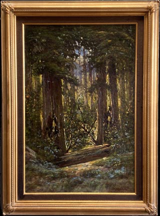 Manuel Valencia California Redwood Forest with frame