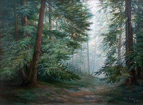 Lydia Vercinsky Redwood Forest Thumbnail