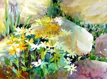 Jean Warren September's Daisies