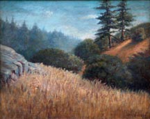 George Arnold Weeden Redwoods on Hillside Midsized Thumbnail
