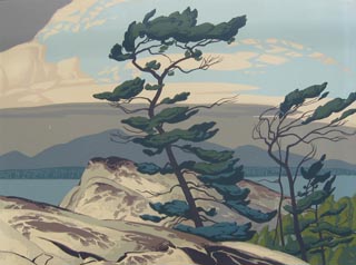 A_J_Casson_White_Pine_320.jpg