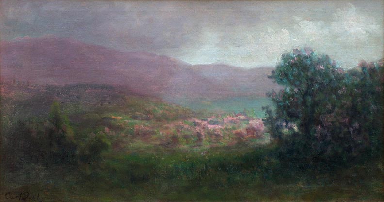 Carl Dahlgren California Vista