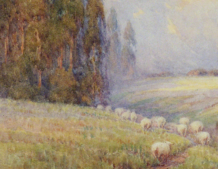 riffith_Grace_Allison_Sheep_Hills_and_Eucalyptus closeup