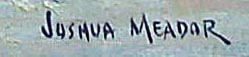 Joshua Meador Far Beyond near Palm Springs from the Disney Collection Signature