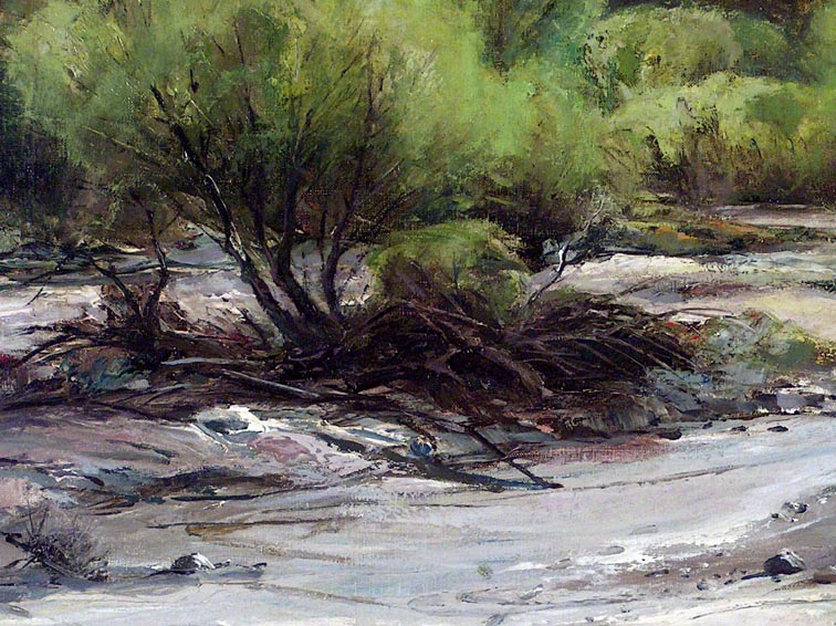 Joshua Meador Riverbed Closeup