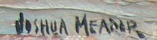 Joshua Meador Sandpipers Signature