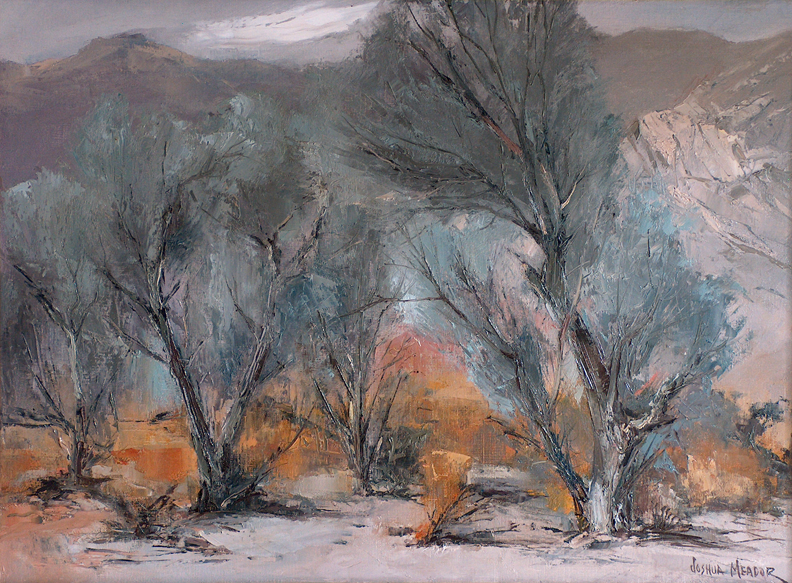 Joshua Meador Smoke Trees