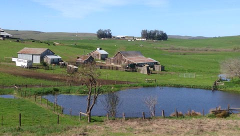 Location of Joshua Meador's Spring Rain