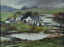 Joshua Meador Spring Rain