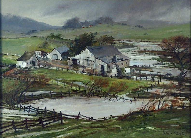 Joshua Meador Spring Rain