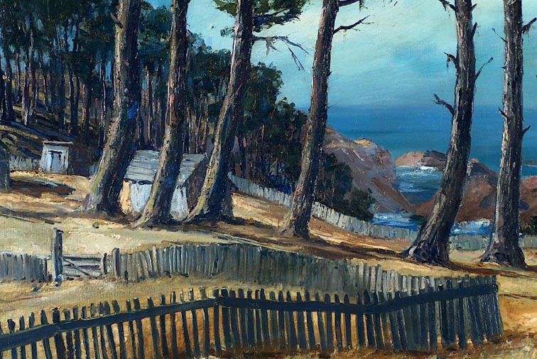 Joshua Meador Stewarts Point Closeup