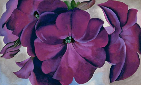 OKeeffe_Georgia_Petunias_1925_480.jpg