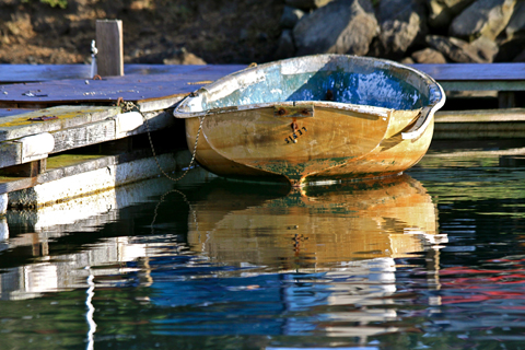 Diane Perry Dockside Reflections