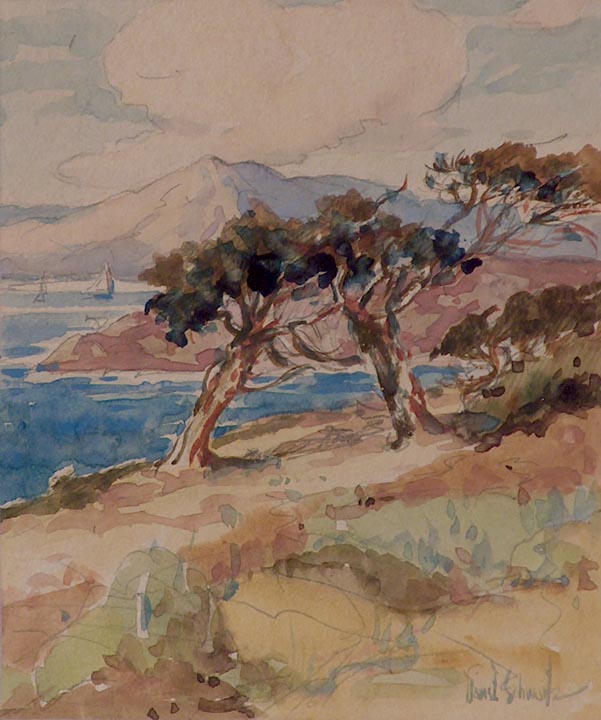 Francis Davis Schwartz SF Bay Sailing
