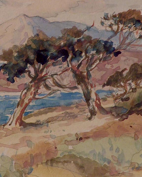 Francis Davis Schwartz SF Bay Sailing Closeup