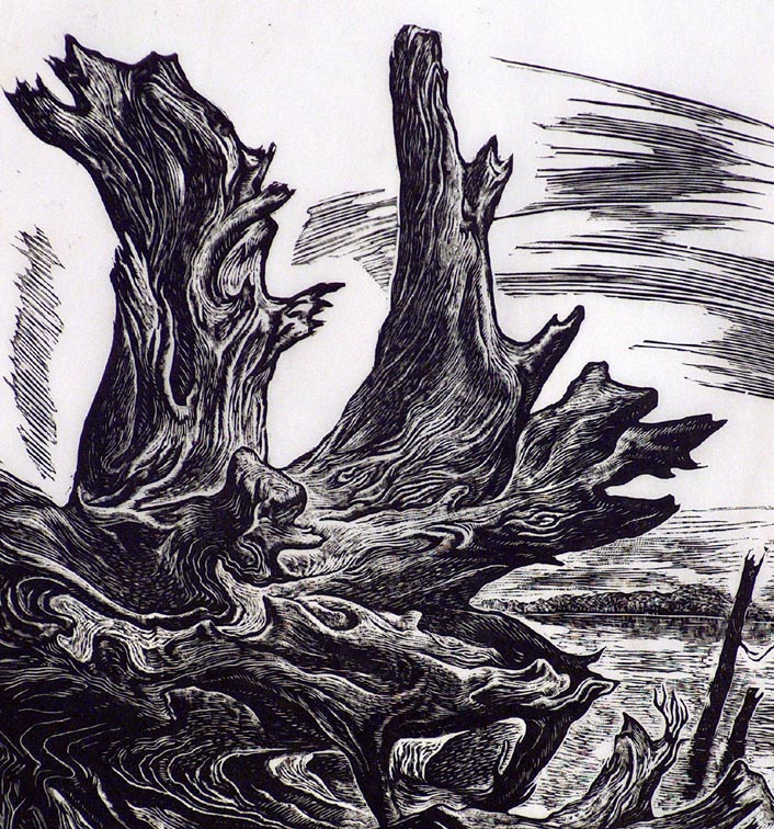 Charles Frederick Surendorf Driftwood Closeup