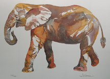 Jean Warren African Series