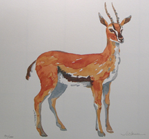 Jean Warren African Series
