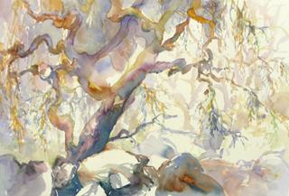 Warren_Jean_Spring_Lake_Oaks_NF_320.jpg