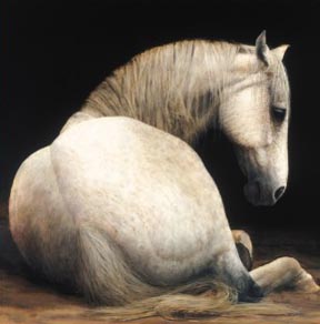 Mari Kloeppel Cobasaan