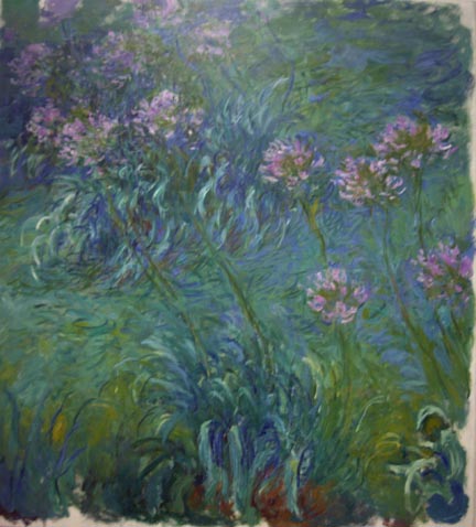 BBHPhoto_Claude_Monet_Agapanthus