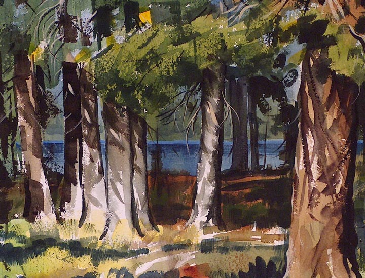 Ralph Baker Webber Lake Closeup