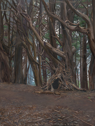 Shelter Geraldine Kovats, 49.5 x 37.5