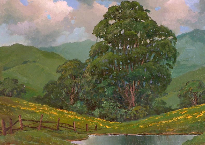 Alex Dzigurski Marin Spring Closeup