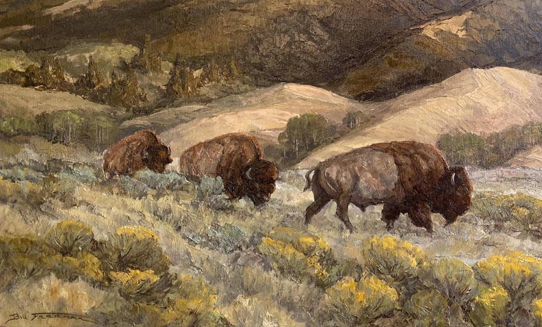 Bill Freeman Summer Range Closeup