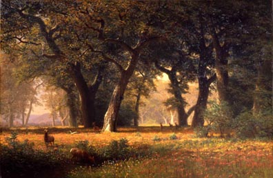 Haggin Museum Albert Beirstadt Forest Monarchs