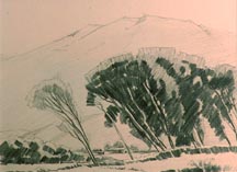 Sam Hyde Harris Drawing Midsized Thumbnail