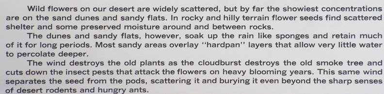 John W Hilton Print Flowering Dunes Caption 1