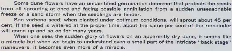 John W Hilton Print Flowering Dunes Caption 2